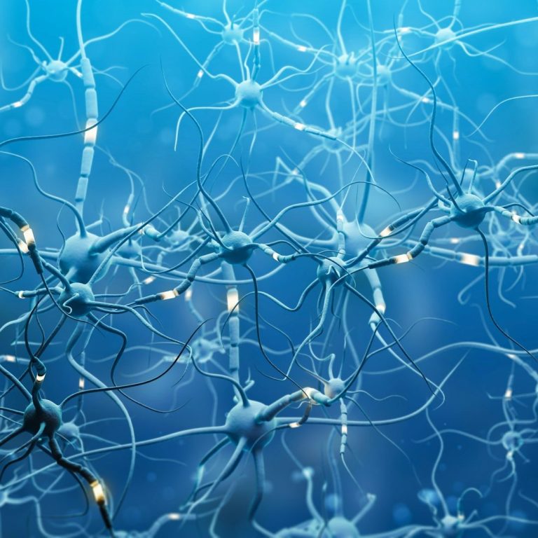 Neurones stylisés connectés sur un fond bleu, symbolisant le réseau nerveux.
